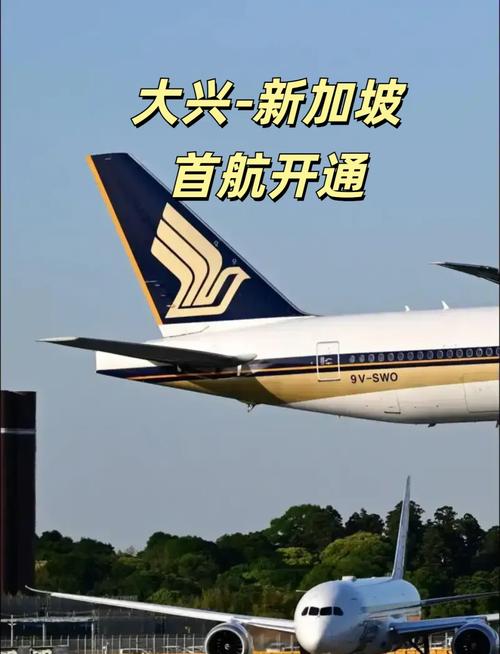 中国飞新加坡去哪里接机