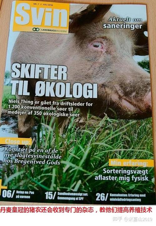 荷兰和新西兰哪个治安好