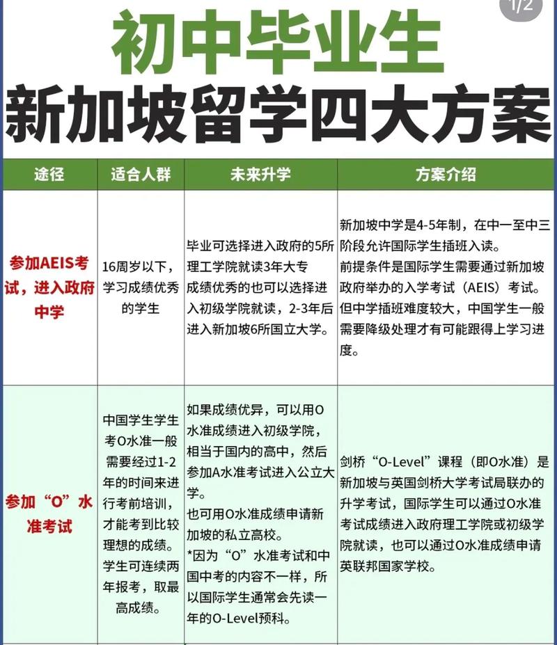 新加坡留学项目合作方案