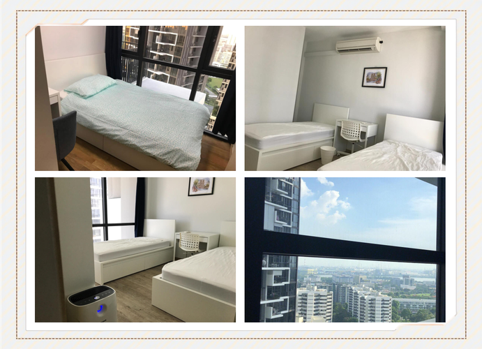 新加坡国际学舍公寓价格