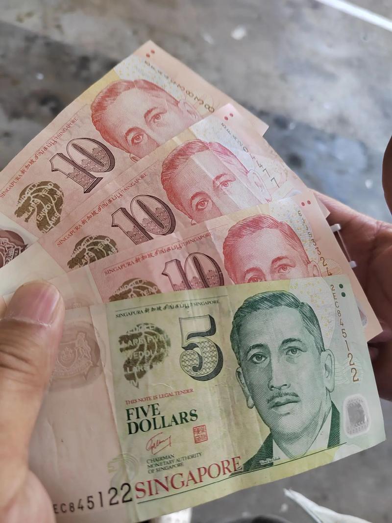 外国人 去 新加坡存款