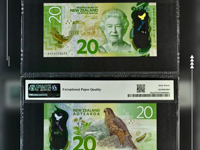 新西兰本科留学用什么币