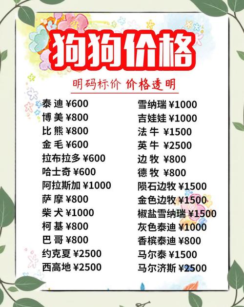 宠物 出境 澳洲 费用