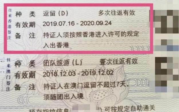 签证是d是属于什么签证