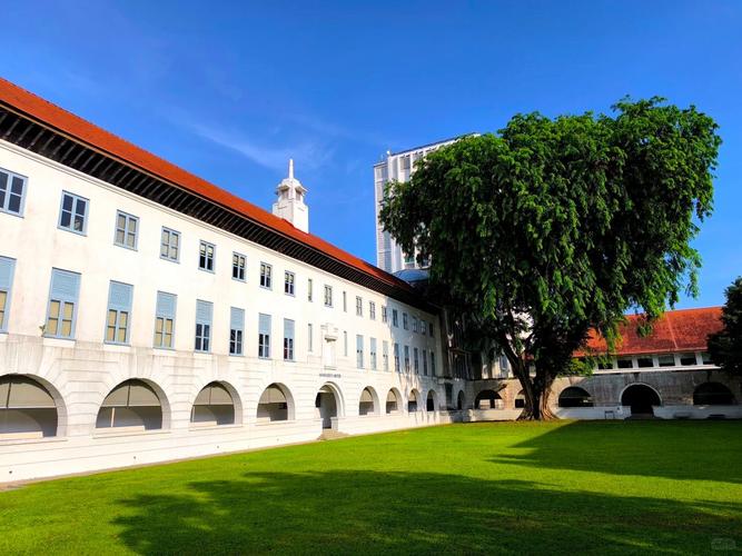 新加坡国立大学cs本科