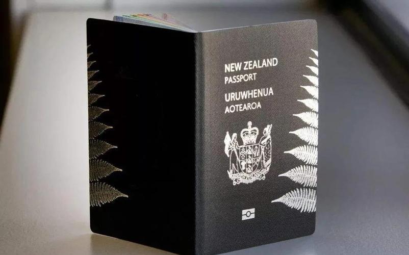 新西兰永久居民子女入籍