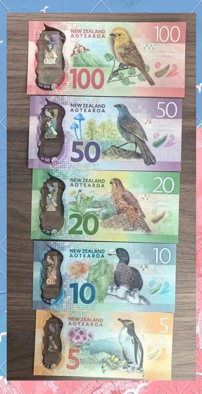 最多可以带多少新西兰币