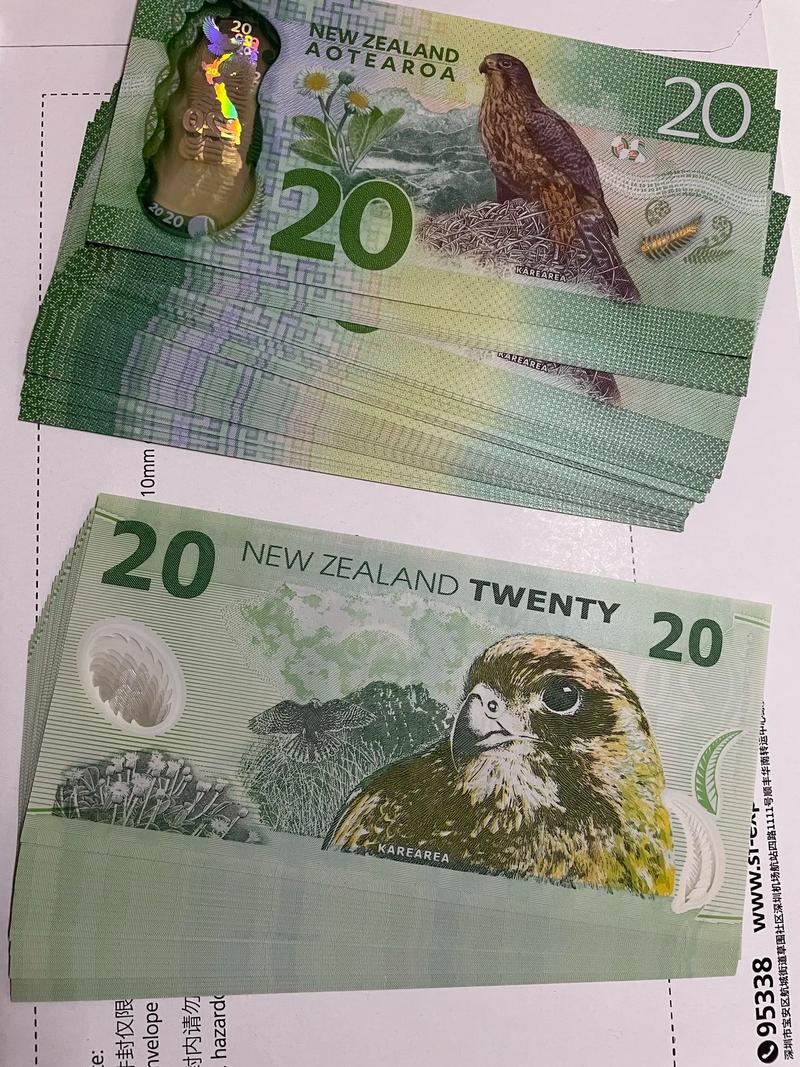 最多可以带多少新西兰币