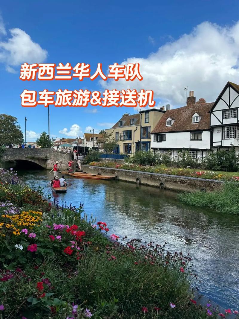 市场营销在新西兰 买车