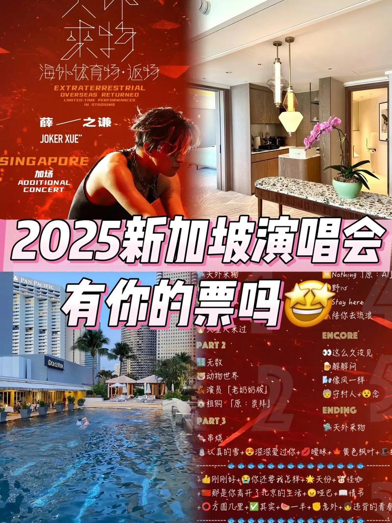 2025新加坡小一插班