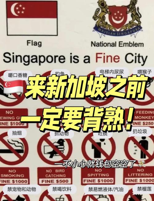 新加坡sp签线违约罚款