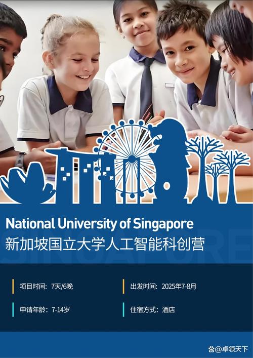 新加坡国立 供应链专业