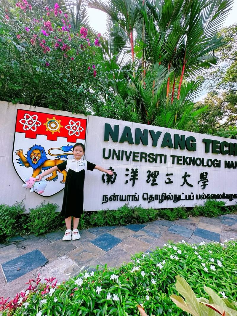 大学毕业后去新加坡留学