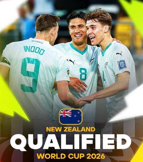 新西兰2025甲级联赛