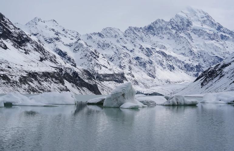 为什么新西兰到处有中文