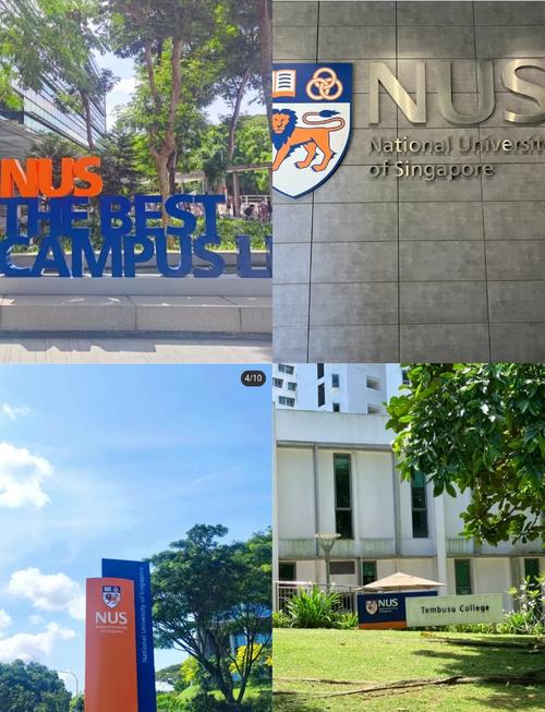 新加坡最好小学 在几区