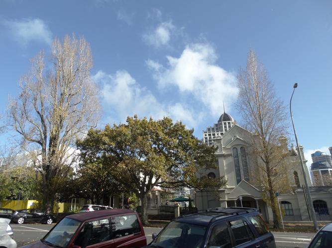 山东办理新西兰留学签证