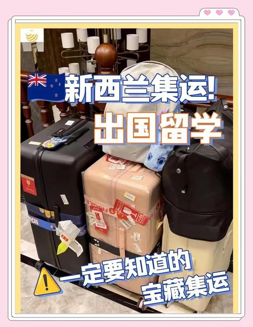 出国留学新西兰都带什么