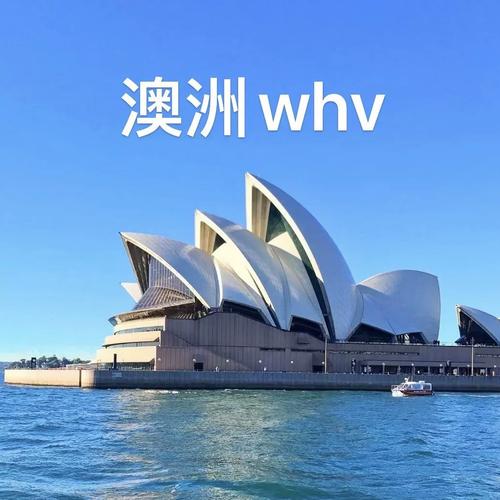 澳洲 打工 度假 本科