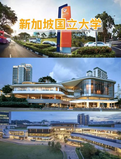 新加坡国立大学申请系统