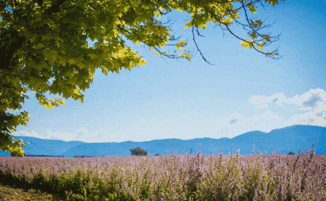 沈阳到哪里签新西兰证件