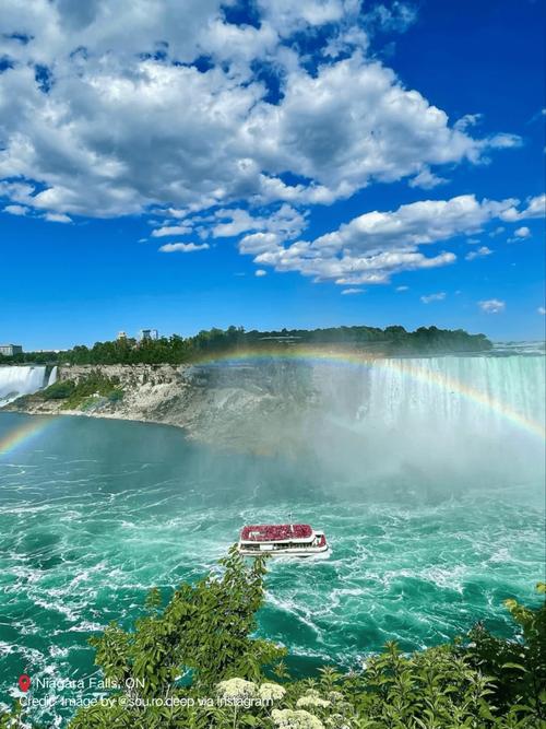 沈阳到哪里签新西兰证件