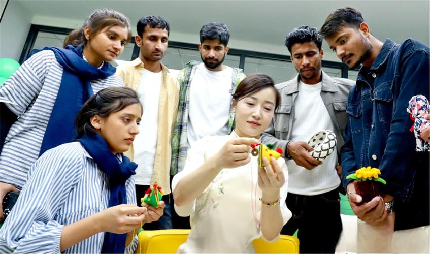 新西兰华裔入籍求学工作