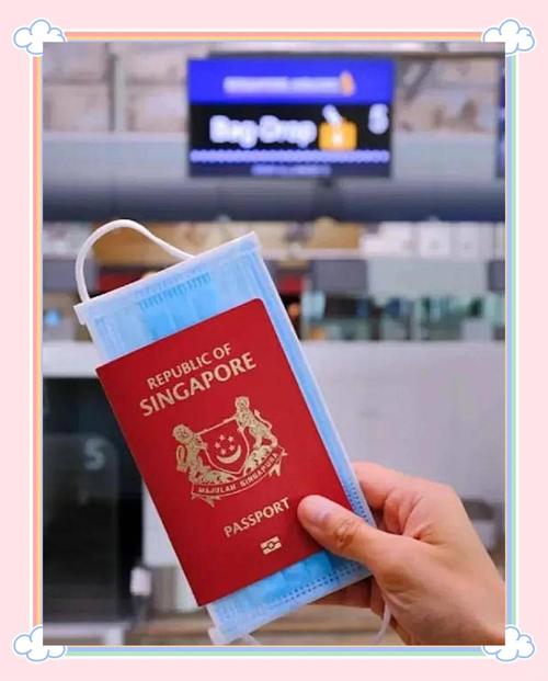 去新加坡63天是否好办