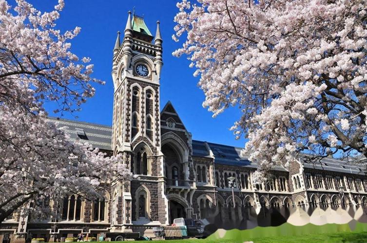 新西兰环境设计专业留学