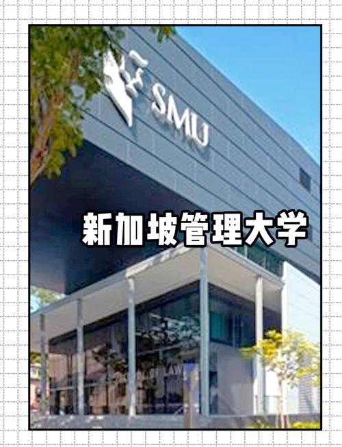 余俊教授新加坡管理大学