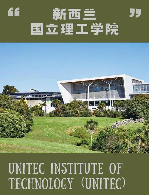 新西兰IT专业好的学校
