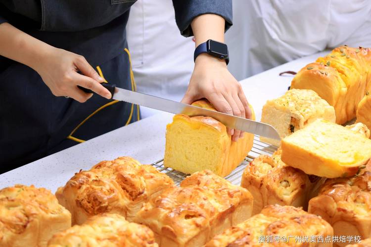 新西兰可以专门学西点吗