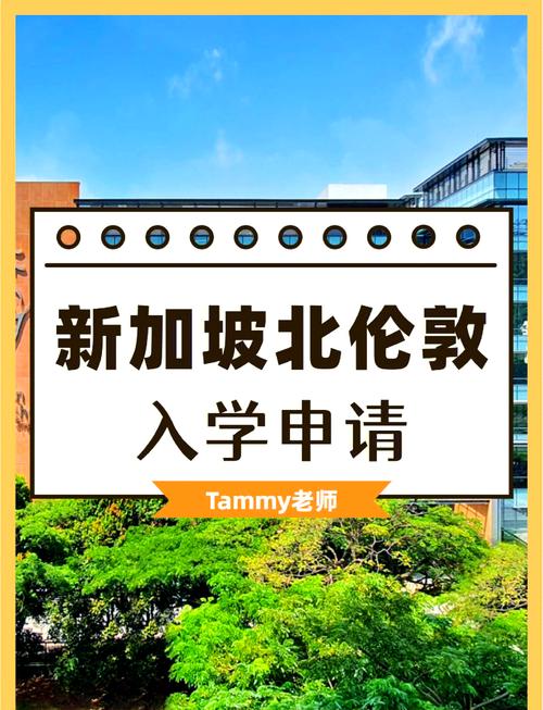 现在可以去新加坡上学吗