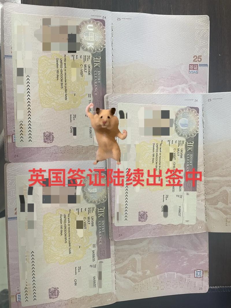 英国签证中心 紧急签证