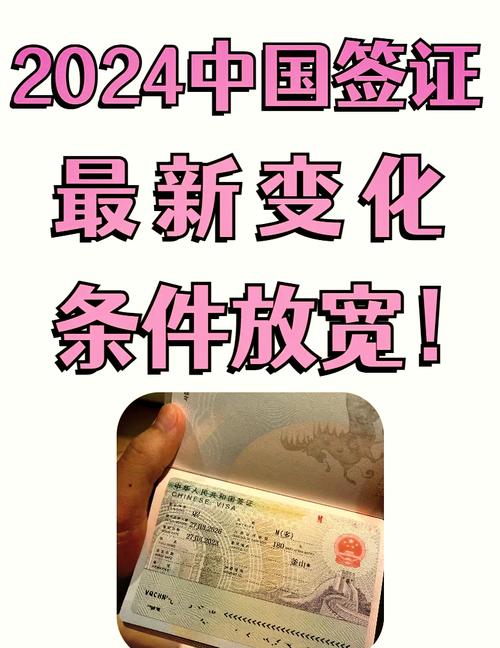 309签证转100签证