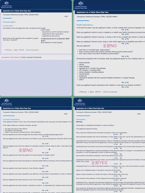 澳洲155签证电子签证