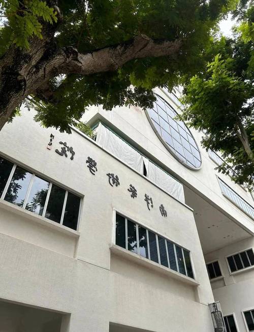 新加坡nafa都学什么