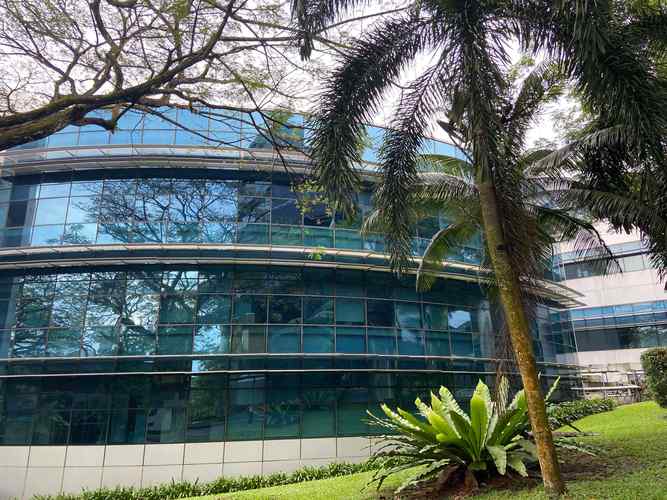 新加坡留学能源专业好吗