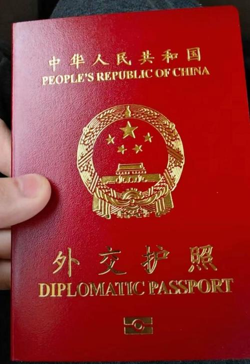 电子签证 贴在护照上